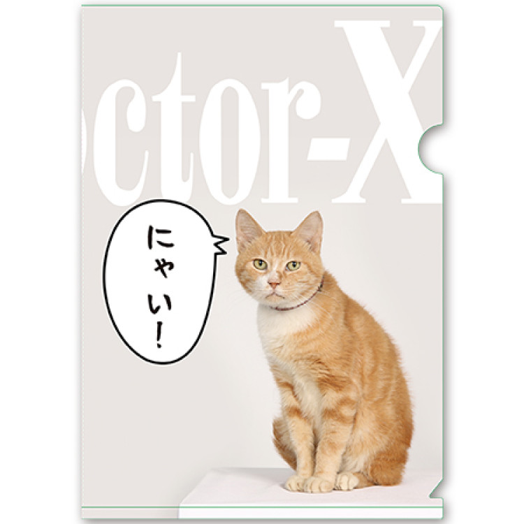ドクターX- A5クリアファイル