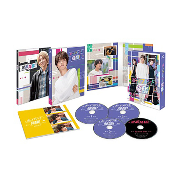 「ボーイフレンド降臨！」DVD-BOX