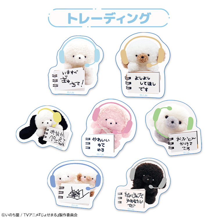 じょせまる かんぺ おしごと ばっち