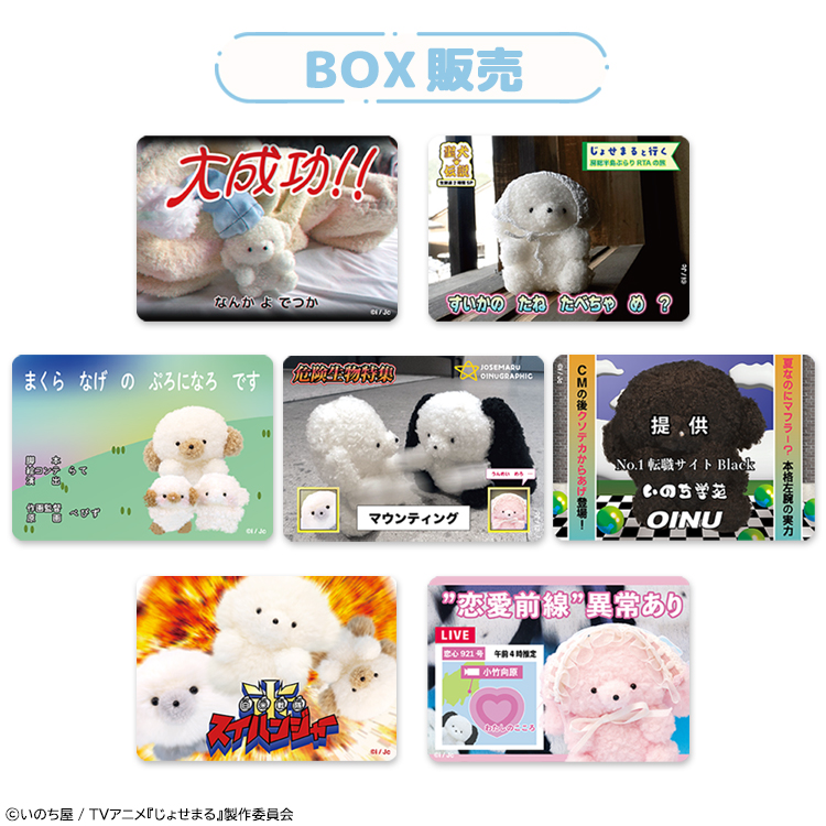 じょせまる ばんぐみ おもしろ しぃる(BOX)