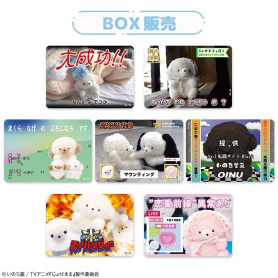 じょせまる ばんぐみ おもしろ しぃる(BOX)